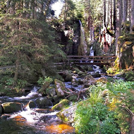 C4 Albmatte-Fewo Sauna, Hallenbad Aussenbecken Massagen Nebenan Менценшванд Экстерьер фото