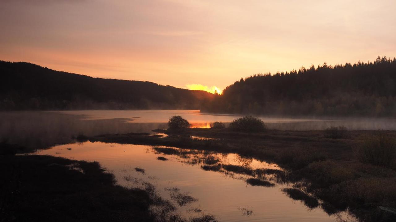 C4 Albmatte-Fewo Sauna, Hallenbad Aussenbecken Massagen Nebenan Менценшванд Экстерьер фото