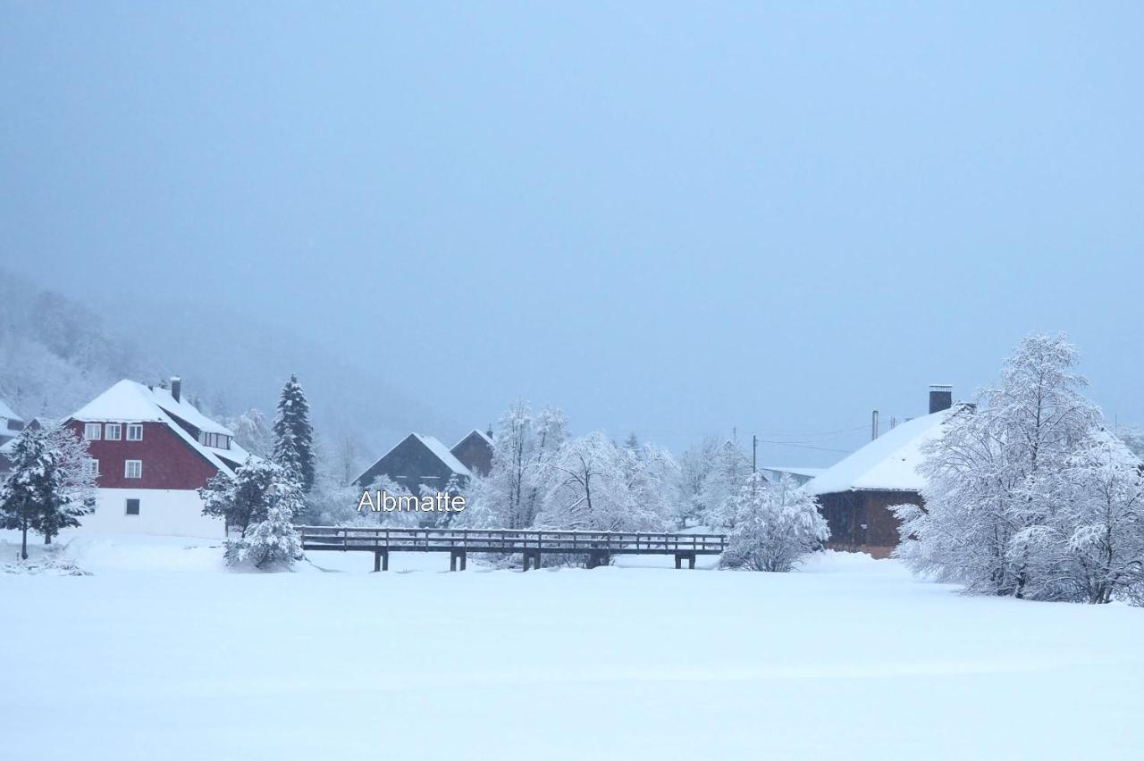 C4 Albmatte-Fewo Sauna, Hallenbad Aussenbecken Massagen Nebenan Менценшванд Экстерьер фото