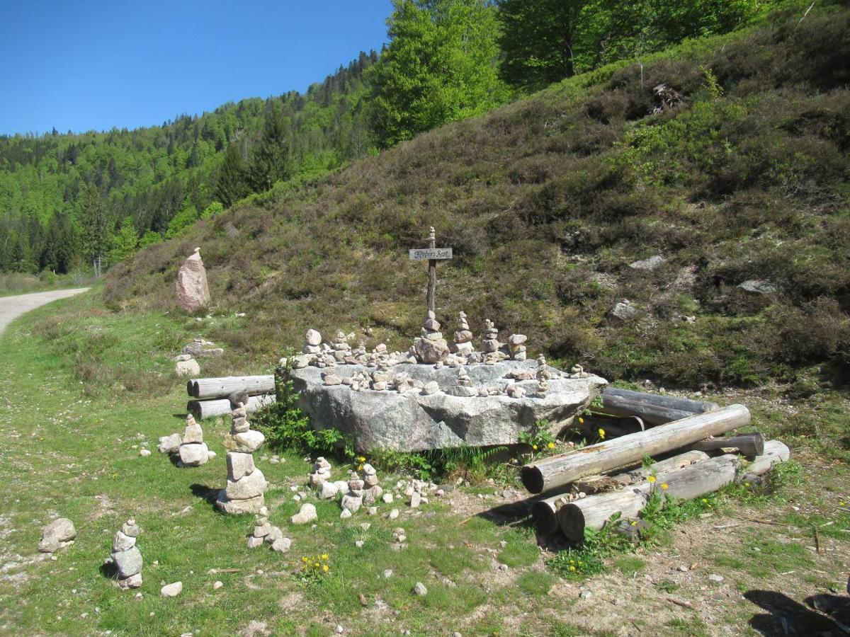 C4 Albmatte-Fewo Sauna, Hallenbad Aussenbecken Massagen Nebenan Менценшванд Экстерьер фото
