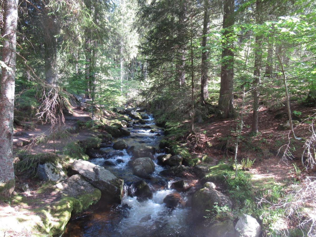 C4 Albmatte-Fewo Sauna, Hallenbad Aussenbecken Massagen Nebenan Менценшванд Экстерьер фото