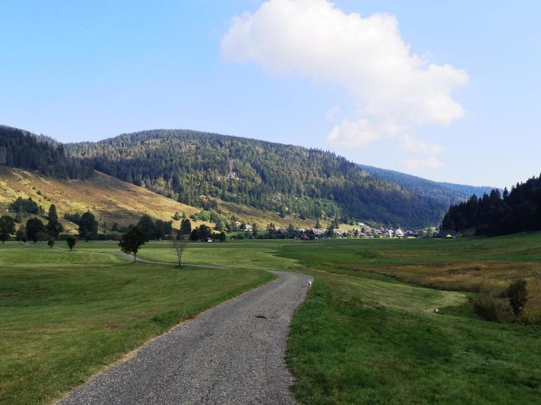 C4 Albmatte-Fewo Sauna, Hallenbad Aussenbecken Massagen Nebenan Менценшванд Экстерьер фото