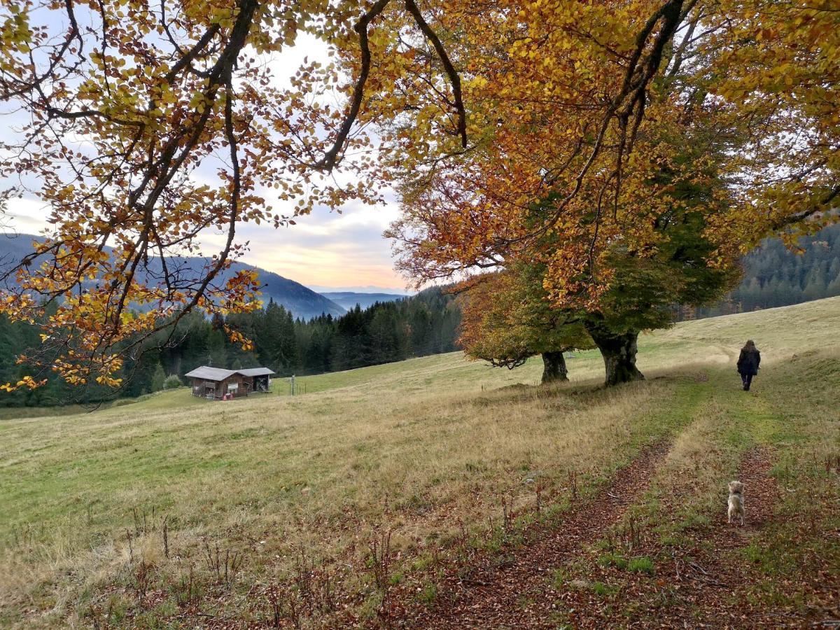 C4 Albmatte-Fewo Sauna, Hallenbad Aussenbecken Massagen Nebenan Менценшванд Экстерьер фото