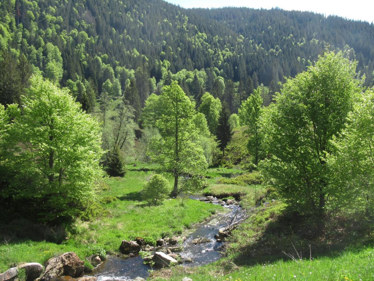 C4 Albmatte-Fewo Sauna, Hallenbad Aussenbecken Massagen Nebenan Менценшванд Экстерьер фото