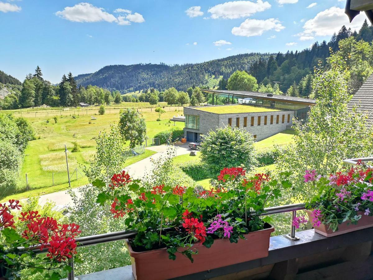 C4 Albmatte-Fewo Sauna, Hallenbad Aussenbecken Massagen Nebenan Менценшванд Экстерьер фото