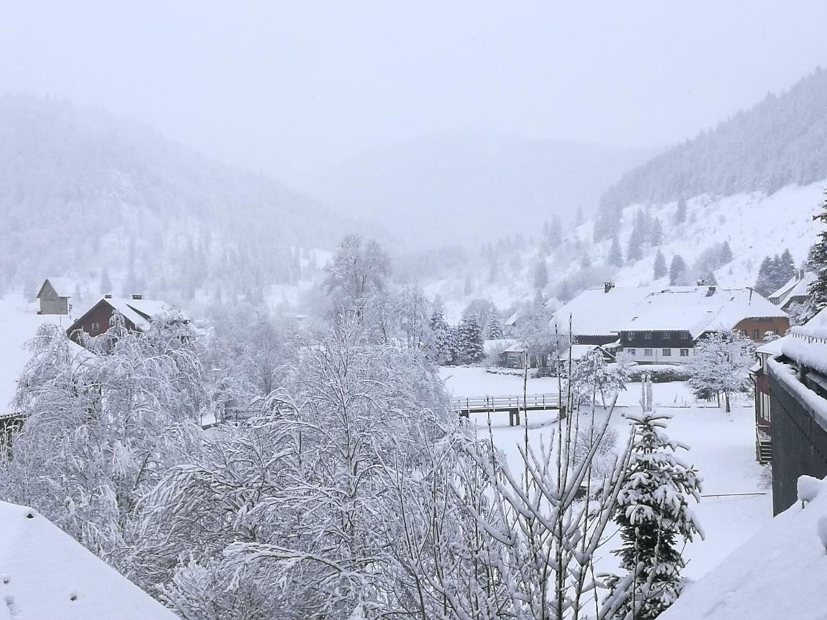 C4 Albmatte-Fewo Sauna, Hallenbad Aussenbecken Massagen Nebenan Менценшванд Экстерьер фото