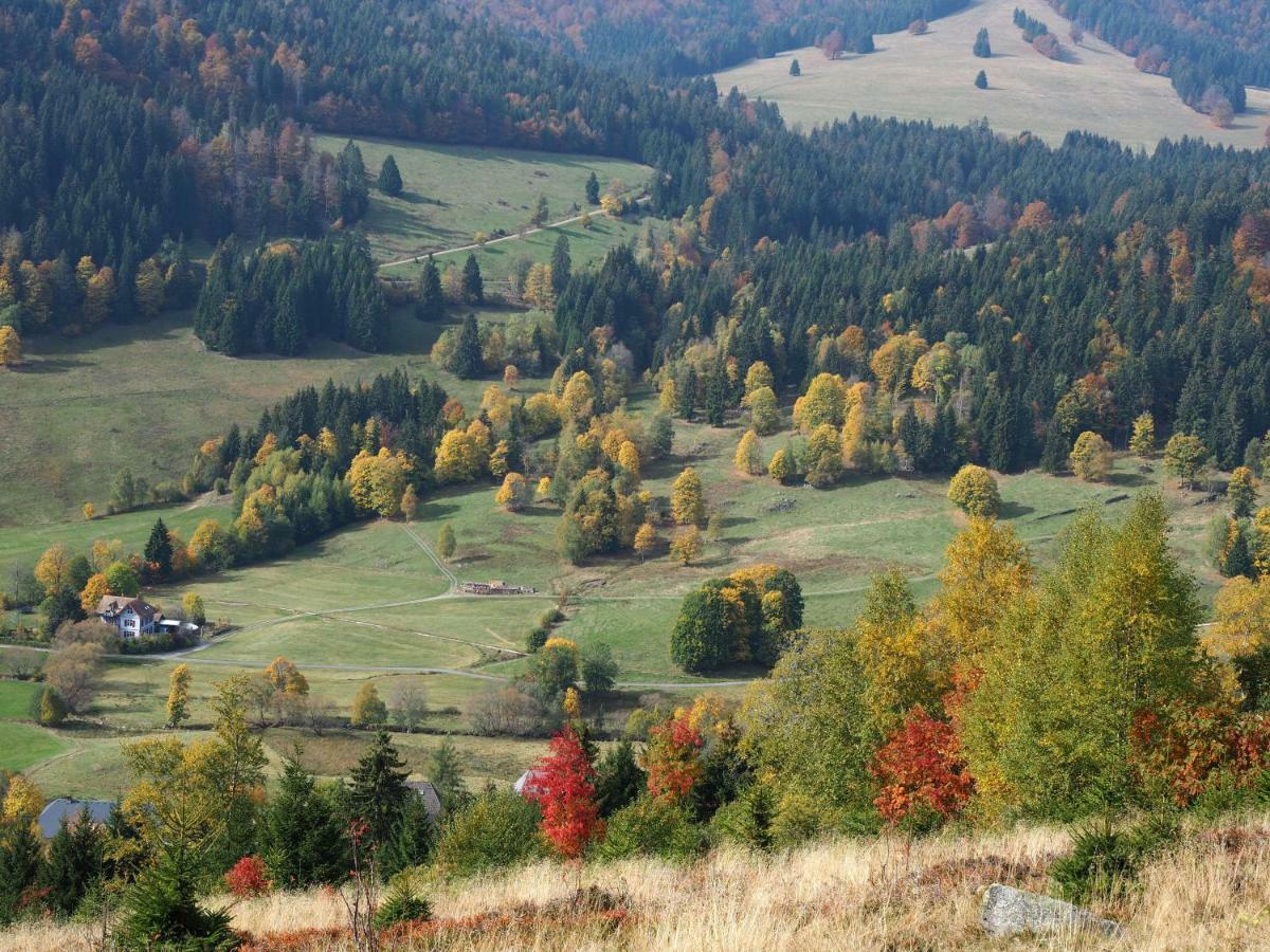 C4 Albmatte-Fewo Sauna, Hallenbad Aussenbecken Massagen Nebenan Менценшванд Экстерьер фото