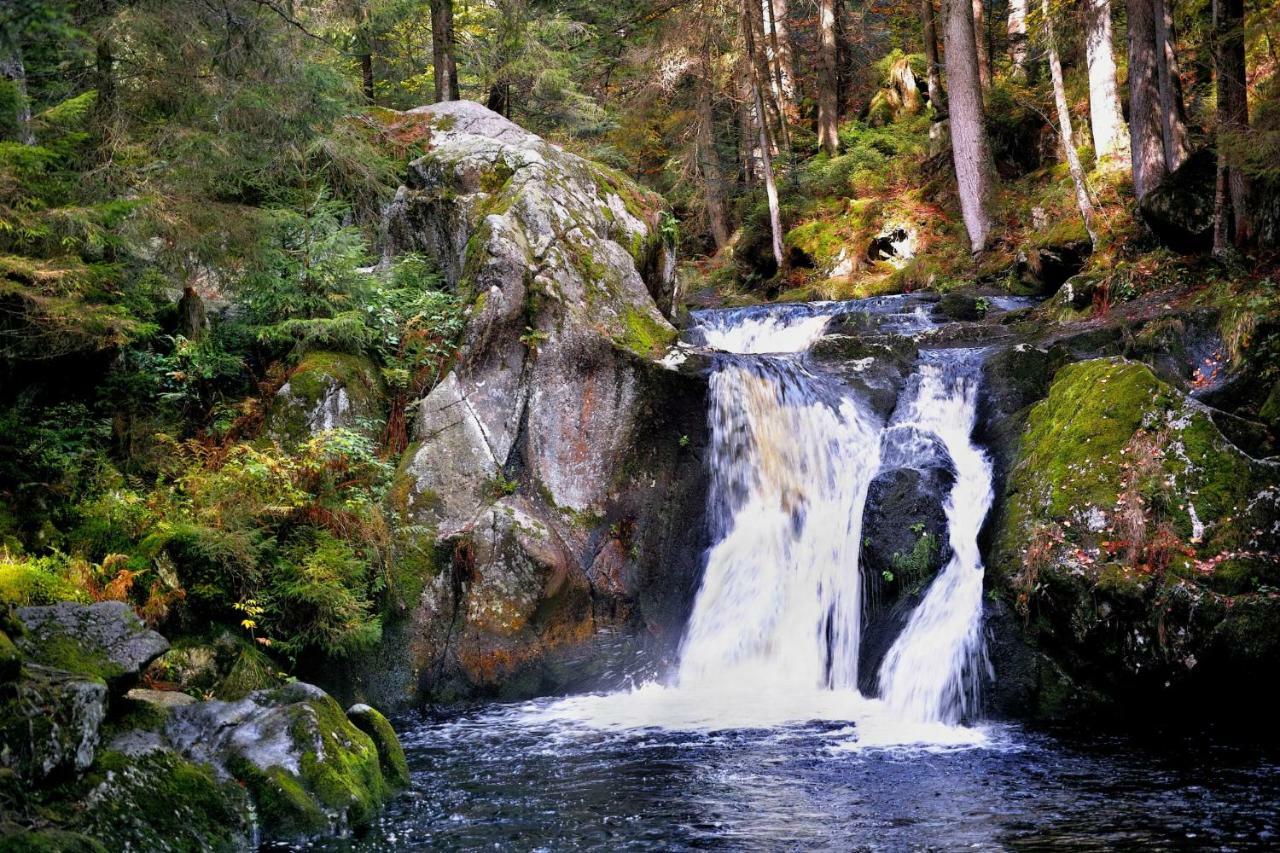 C4 Albmatte-Fewo Sauna, Hallenbad Aussenbecken Massagen Nebenan Менценшванд Экстерьер фото