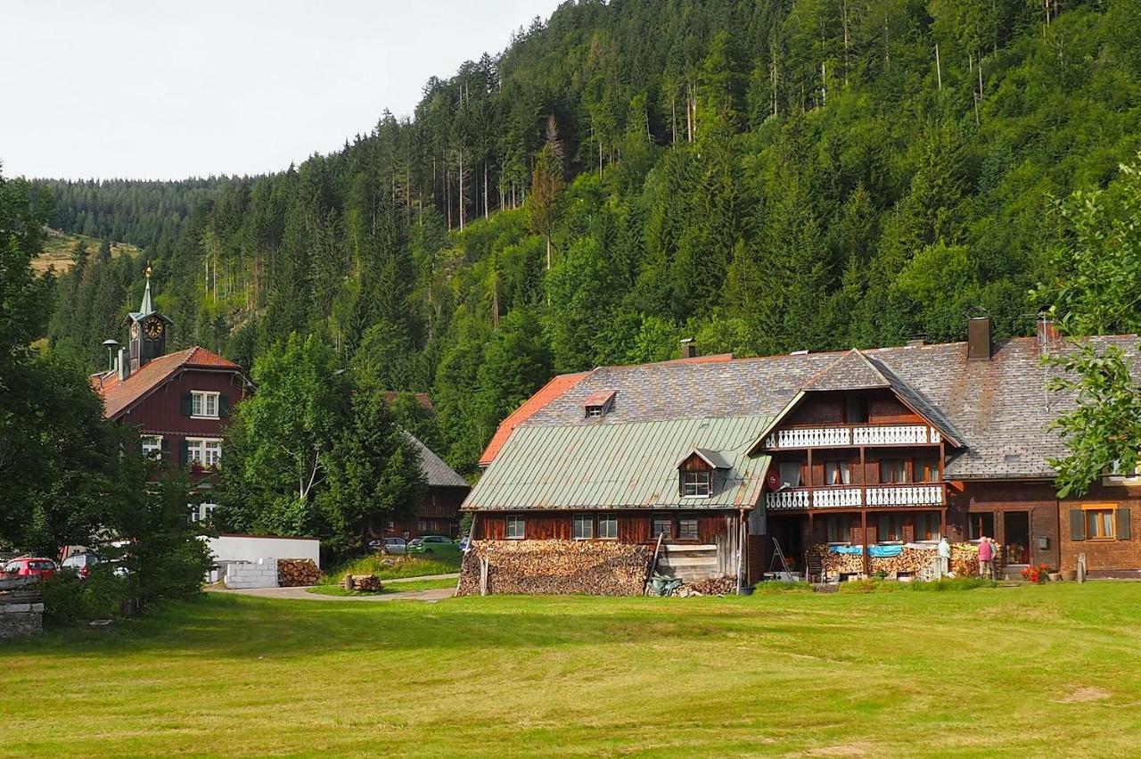 C4 Albmatte-Fewo Sauna, Hallenbad Aussenbecken Massagen Nebenan Менценшванд Экстерьер фото
