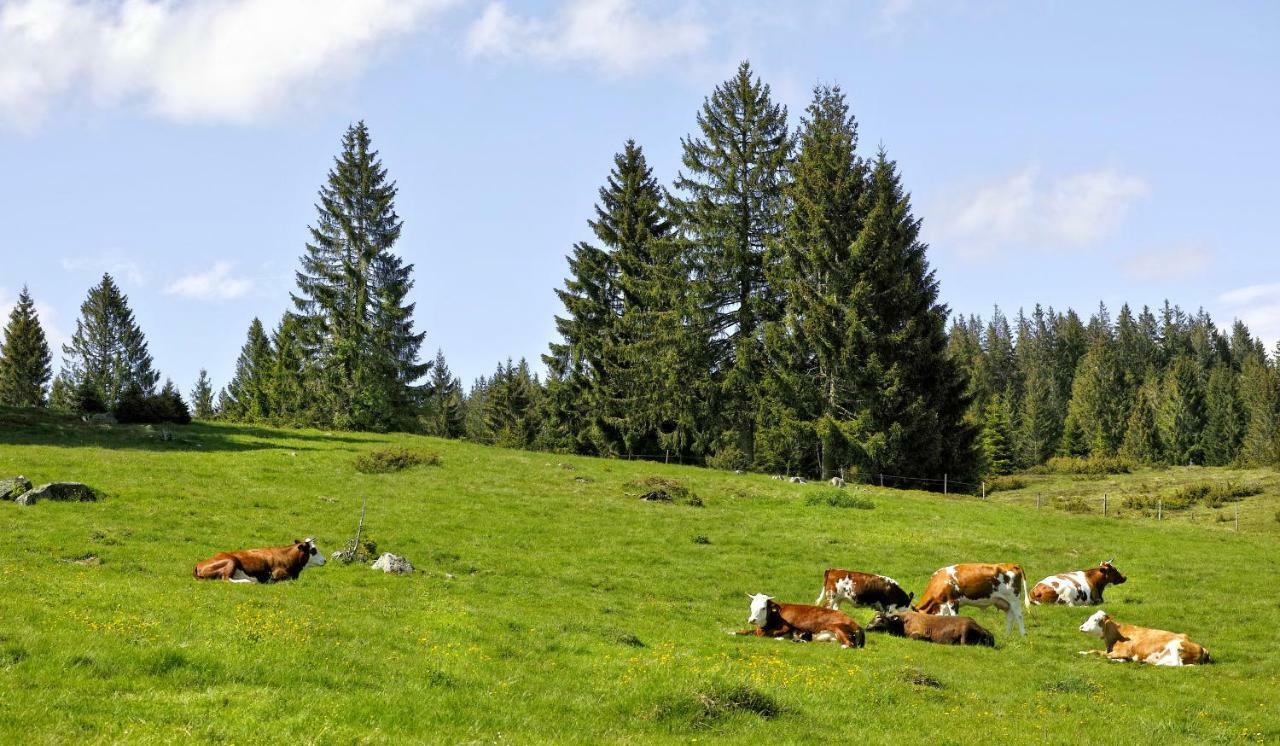 C4 Albmatte-Fewo Sauna, Hallenbad Aussenbecken Massagen Nebenan Менценшванд Экстерьер фото