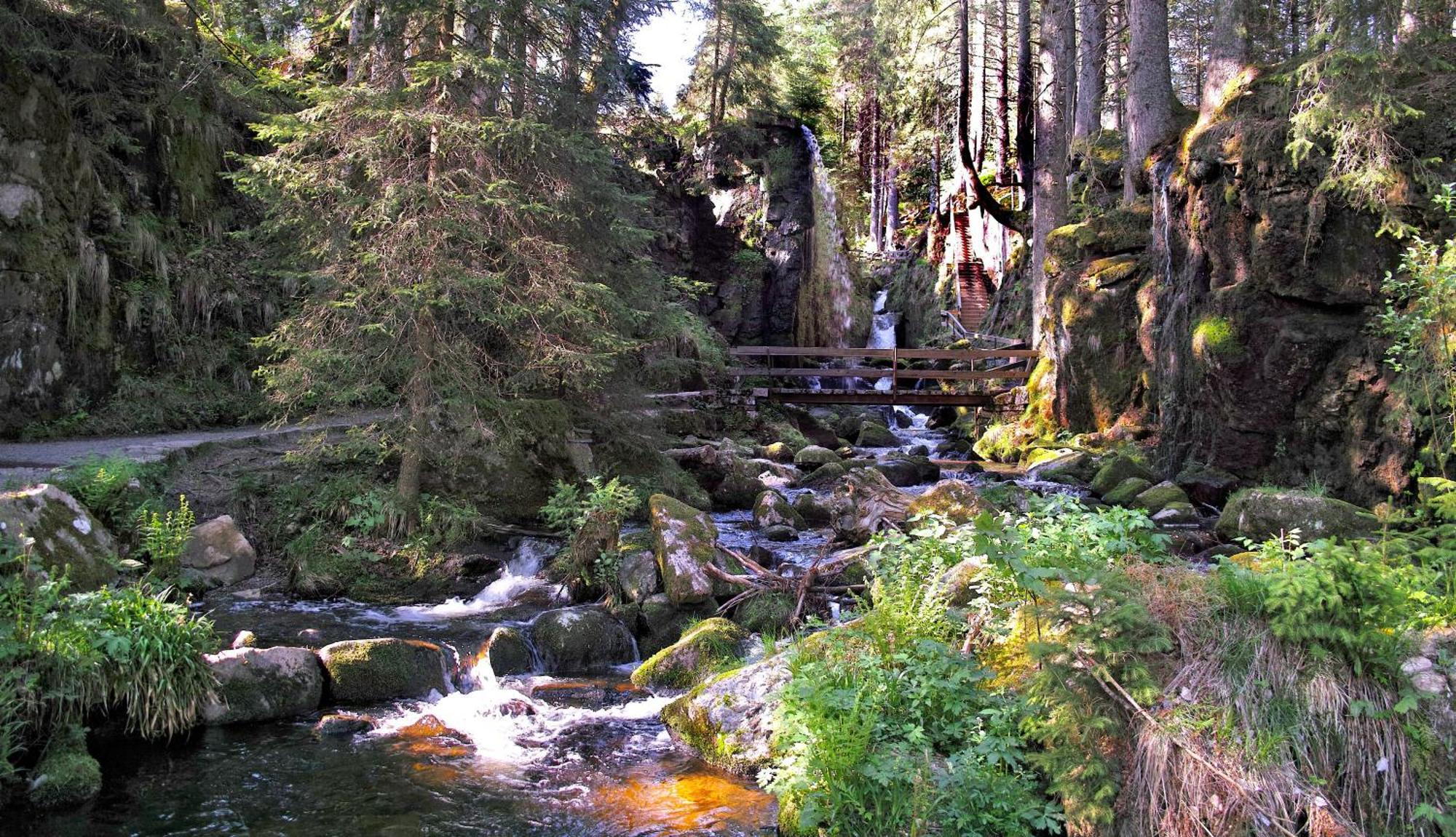 C4 Albmatte-Fewo Sauna, Hallenbad Aussenbecken Massagen Nebenan Менценшванд Экстерьер фото
