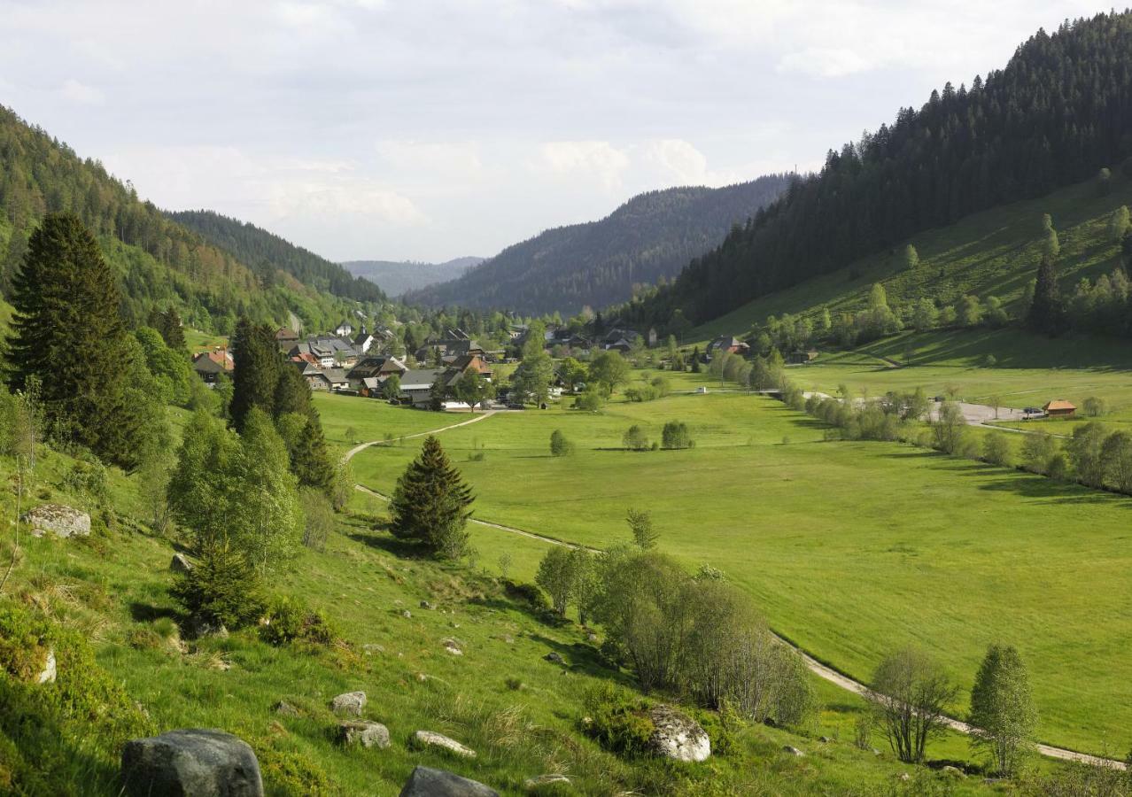 C4 Albmatte-Fewo Sauna, Hallenbad Aussenbecken Massagen Nebenan Менценшванд Экстерьер фото