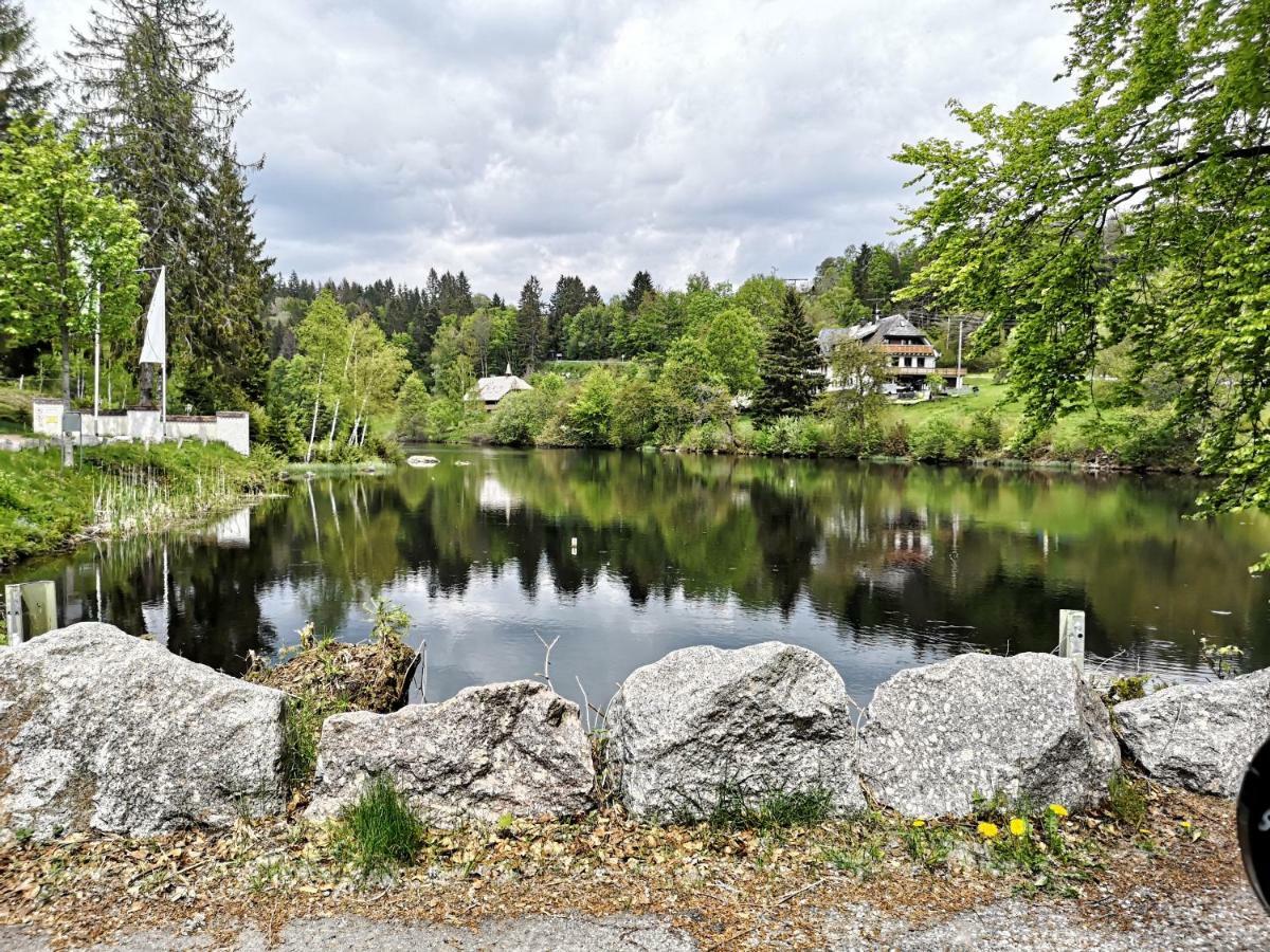 C4 Albmatte-Fewo Sauna, Hallenbad Aussenbecken Massagen Nebenan Менценшванд Экстерьер фото