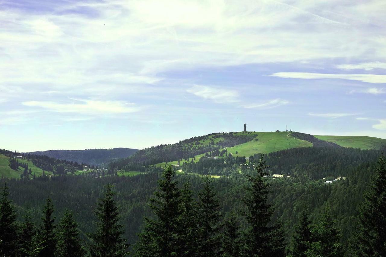 C4 Albmatte-Fewo Sauna, Hallenbad Aussenbecken Massagen Nebenan Менценшванд Экстерьер фото