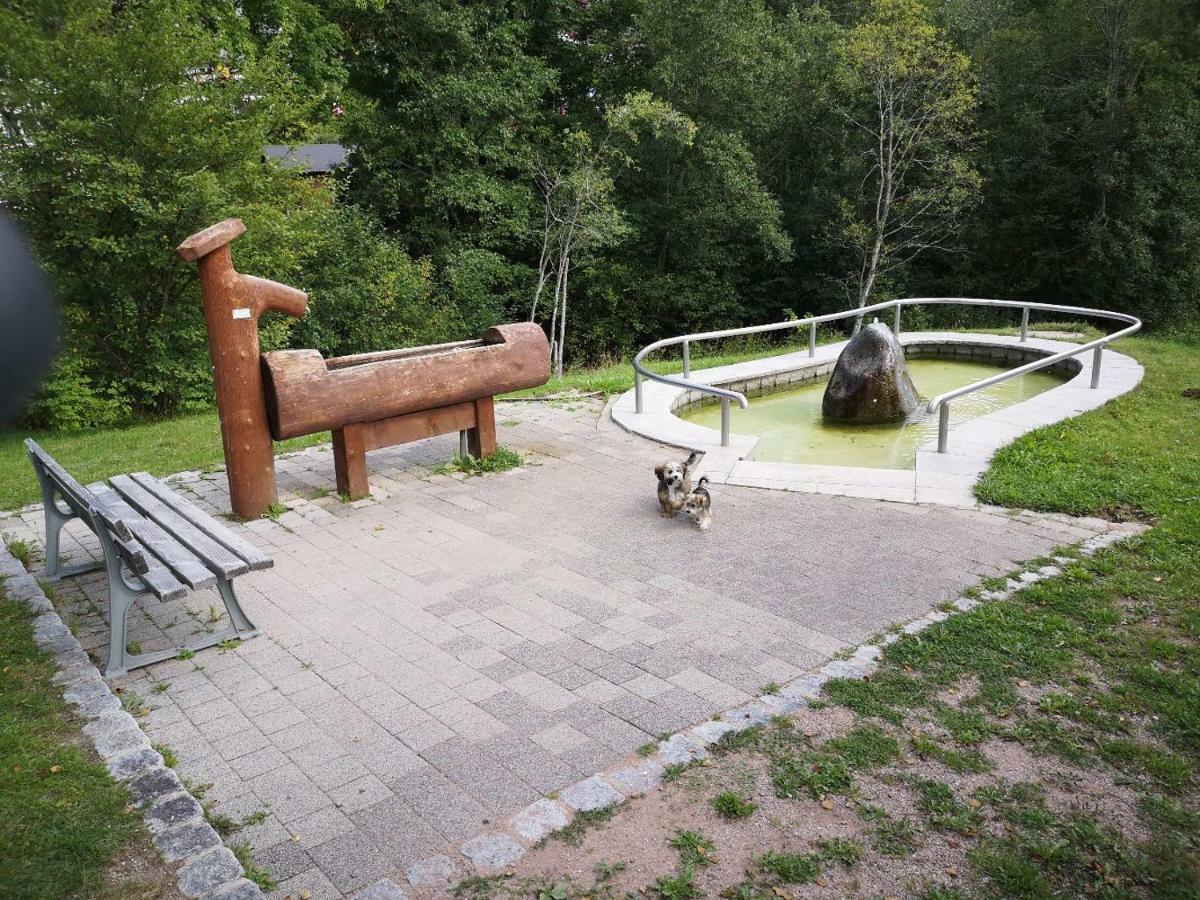C4 Albmatte-Fewo Sauna, Hallenbad Aussenbecken Massagen Nebenan Менценшванд Экстерьер фото