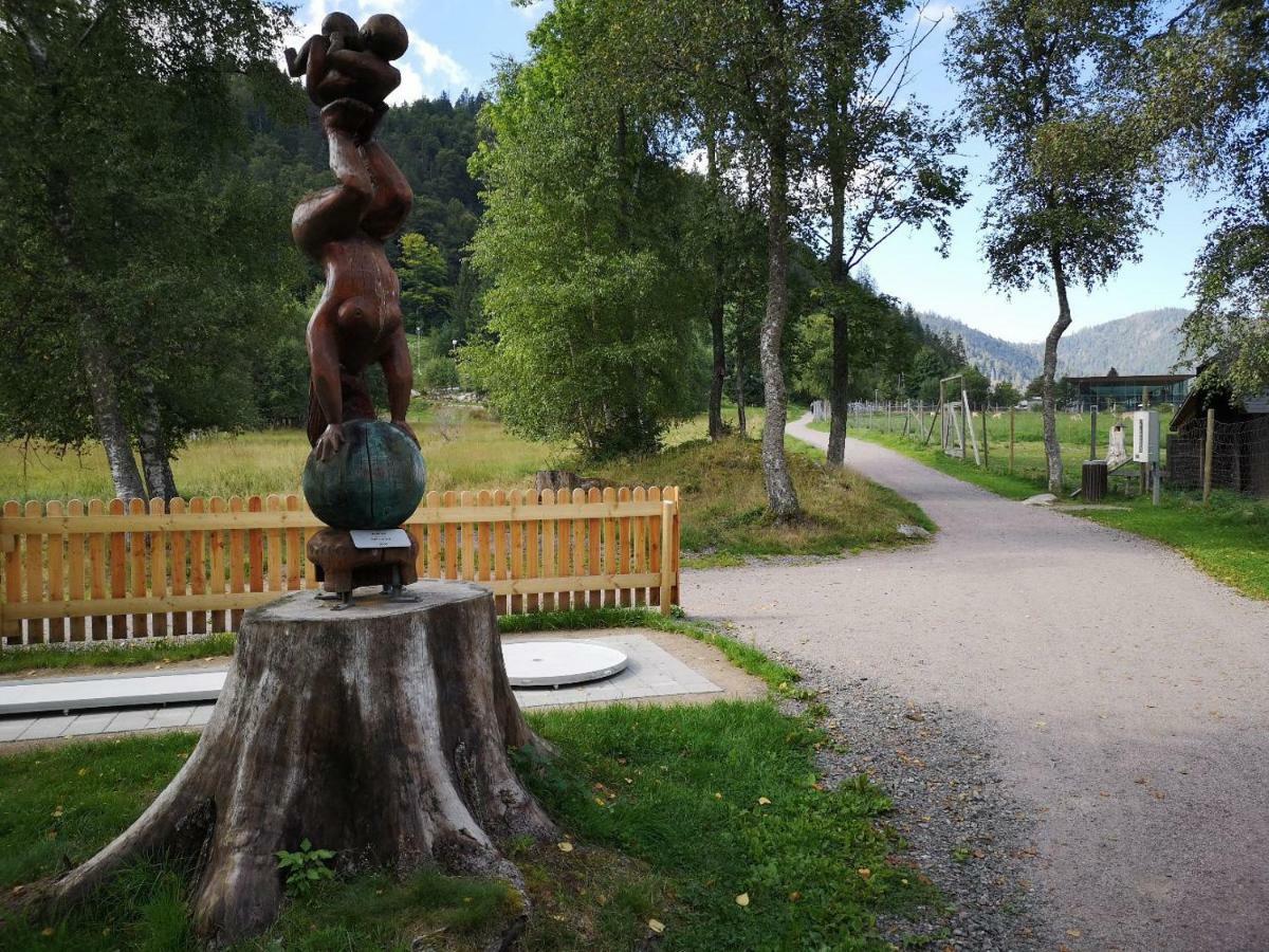 C4 Albmatte-Fewo Sauna, Hallenbad Aussenbecken Massagen Nebenan Менценшванд Экстерьер фото